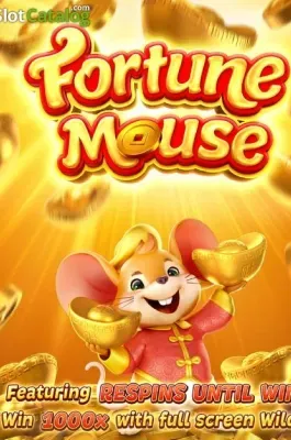Fortune Mousse en AYAO COM